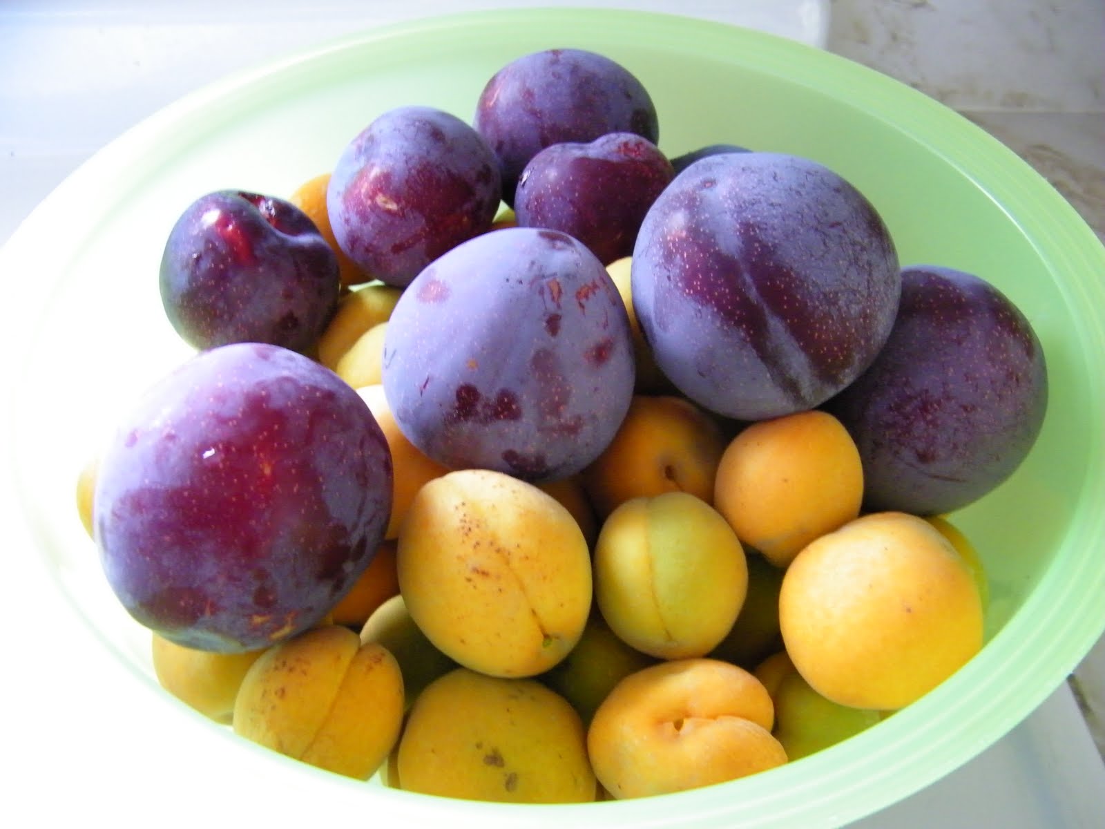 two little chefs ApricotPlum Fruit Leather